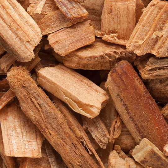 NYX Professional Makeup Coconut Cutie scent bottom notes are of vanilla beans and wood illustrating bottom notes of amber, musk, vanilla, sandalwood, and cedarwood.