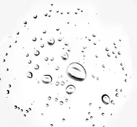 Makeup Setting Spray - Dewy